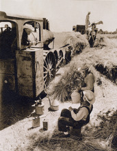 0380138-04-003-Thumbnail Image.jpg