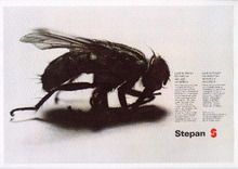 0380138-04-004-Thumbnail Image.jpg