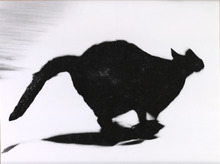 0380138-11-001-Thumbnail Image.jpg